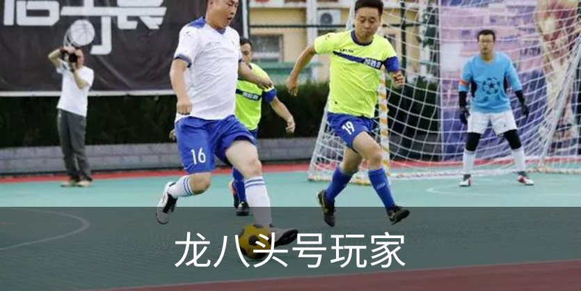 龙八头号玩家介绍